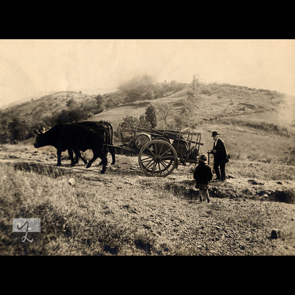 Caylou – Eugène Hild et Odette rentrant le vin&nbsp;(1915)