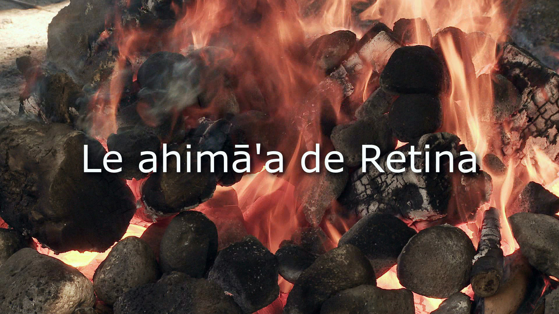 LE AHIMA'A DE RETINA 01