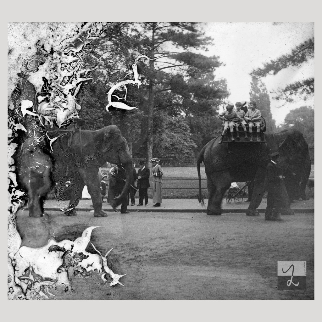 Balade à dos d&rsquo;éléphant à Paris&nbsp;(1915)