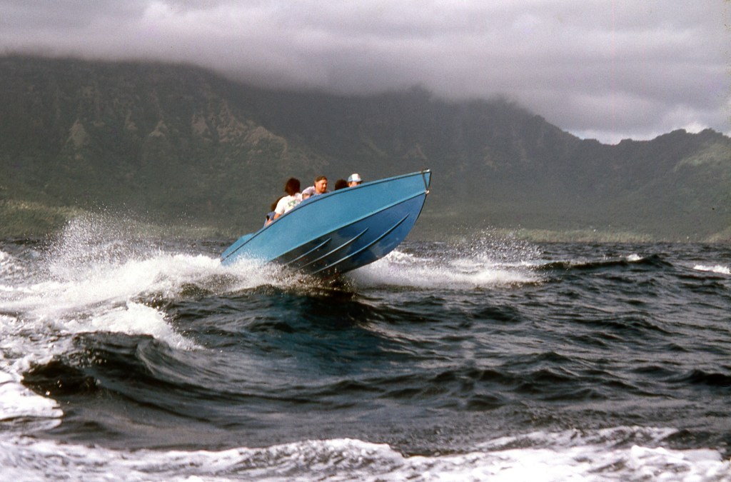 Chasse aux moutons à&nbsp;Mohotani