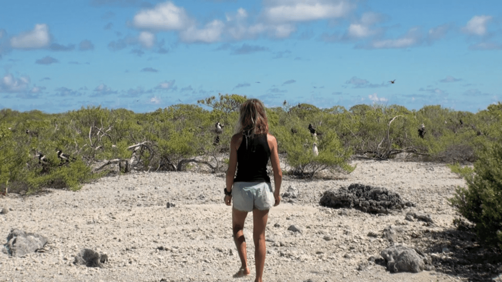 Atoll, au cœur de la vie&nbsp;sauvage