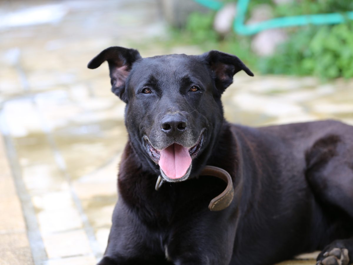 Bob & Nina –&nbsp;I